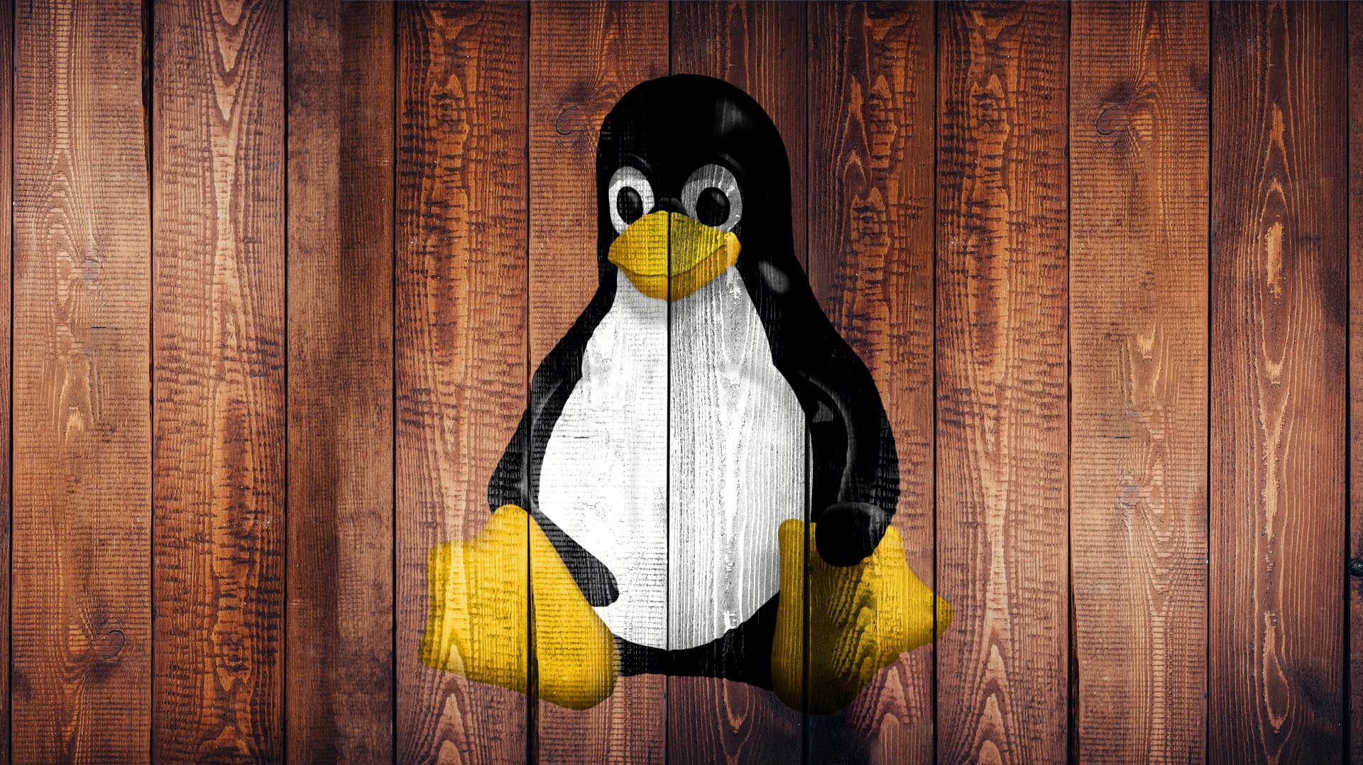 Tux on wood - Image by User 2023583 at Pixabay
